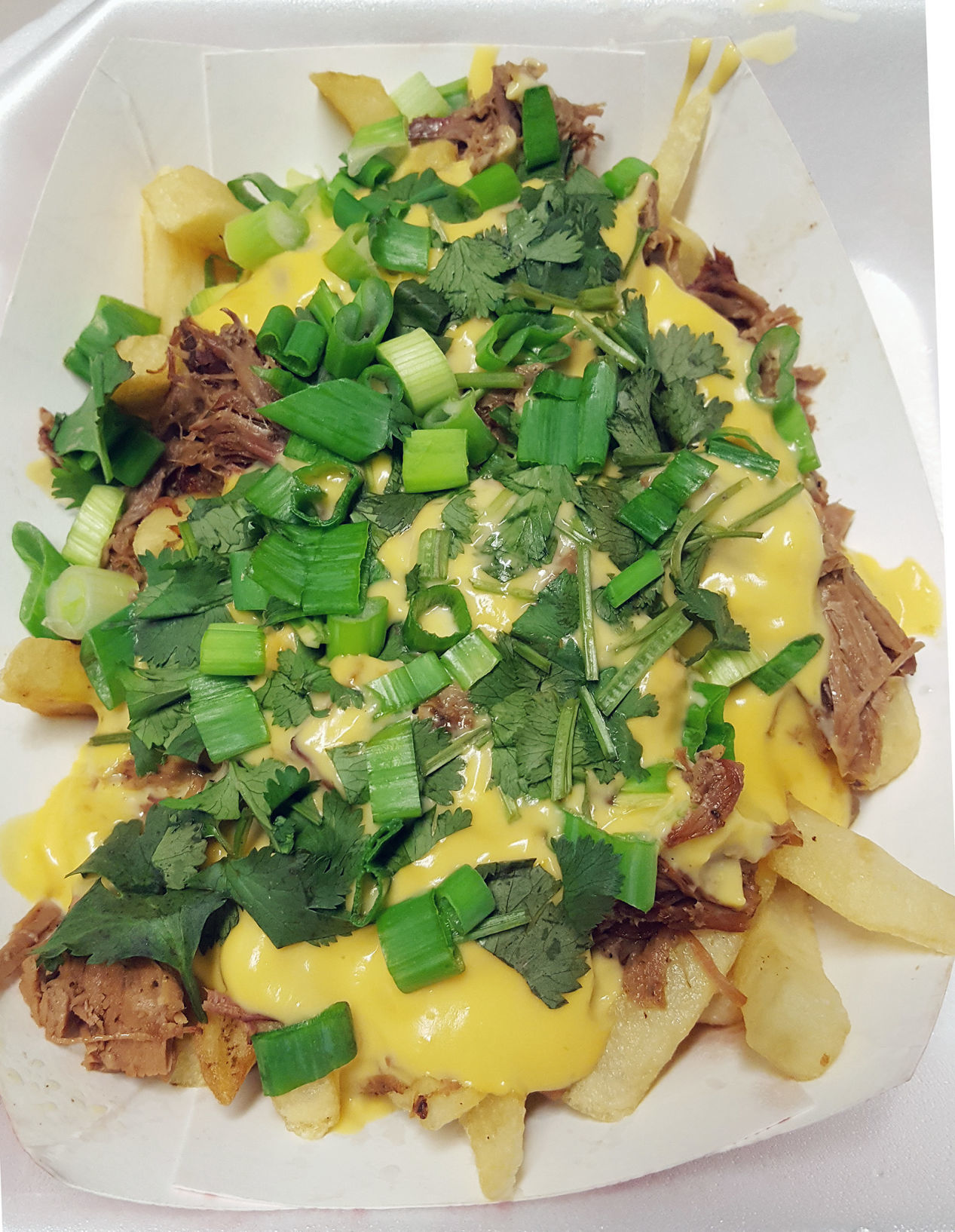 Brisket Fries